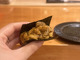 Sushi Taito (鮓 たいと)