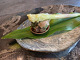 TSUSHIMI