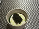 Kashu (Kashu)