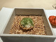 Ristorante SHIKAZAWA (Ristorante SHIKAZAWA)