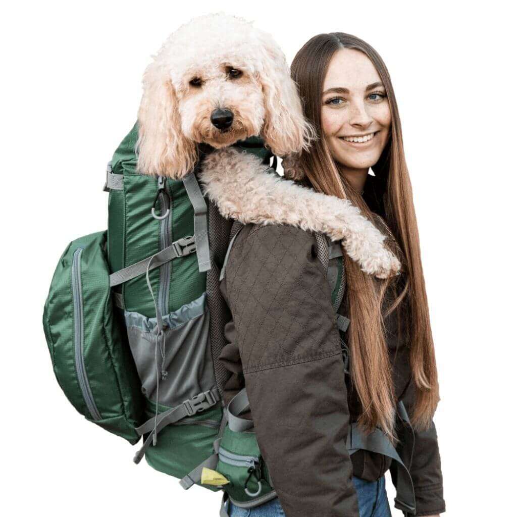 dog carrier