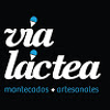 Via Lactea LLC