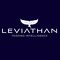 Leviathan Financial Management  LLC
