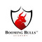 Booming Bulls Academy